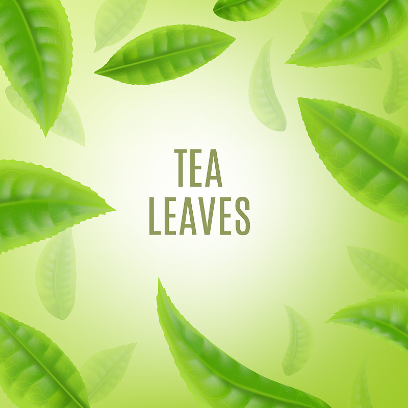 横幅或海报背景与绿茶叶现实的矢量插图。图片素材