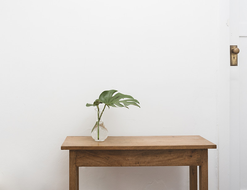 门旁白墙橡树木桌上的玻璃花瓶里的植物叶子图片素材