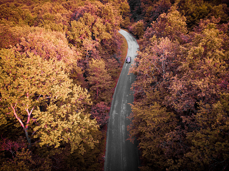 鸟瞰图的汽车行驶在蜿蜒的道路通过秋天的森林图片下载