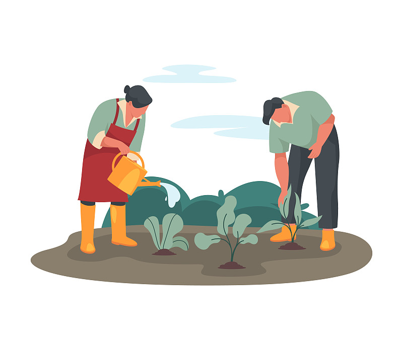 农民在灌溉作物或在花园的床上图片下载