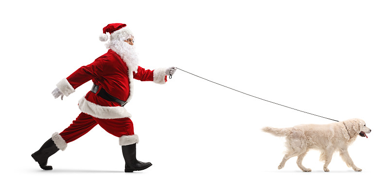 一个圣诞老人带着一只猎犬奔跑的完整侧面照片摄影图片下载