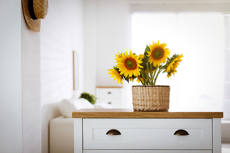 漂亮的黄色向日葵在房间的抽屉柜上，文字的空间图片下载