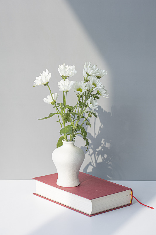 带有小菊花的白瓷花瓶。图片下载