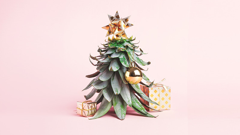 菠萝叶装饰成圣诞树的形状。圣诞创意概念。新的一年图片下载