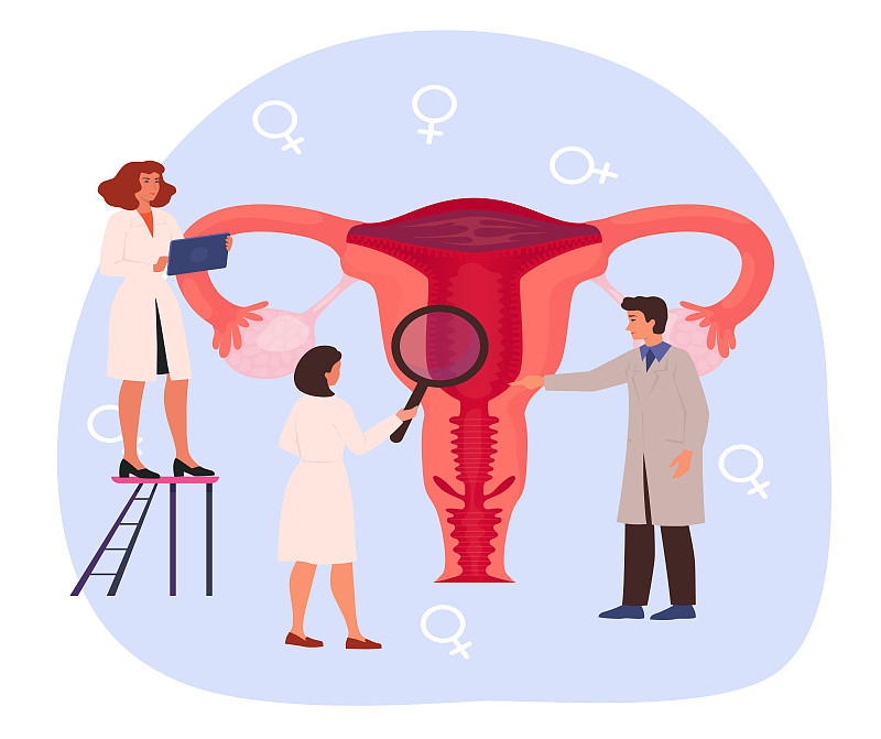 女性生殖系统检查概念。子宫，子宫治疗。妇科医生和治疗师预约。不孕不育，炎症诊断。图片下载
