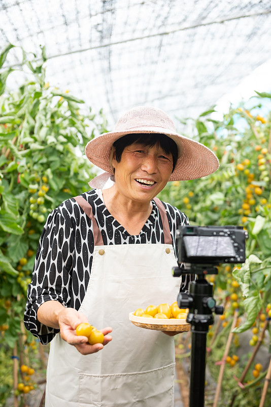快乐的亚洲老妇人展示黄色的圣女果，在网上直播视频。具有社交媒体概念的在线市场。图片下载