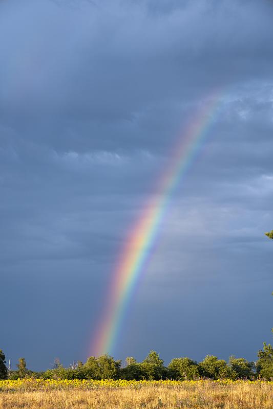 彩虹在Partwitz湖，埃尔斯特海德，Oberspreewald-Lausitz区埃尔斯特海德，萨克森，德国图片下载