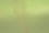黑头黄鹡鸰- Motacilla flava feldeggi摄影图片