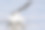 美国鳄梨降落与反思摄影图片