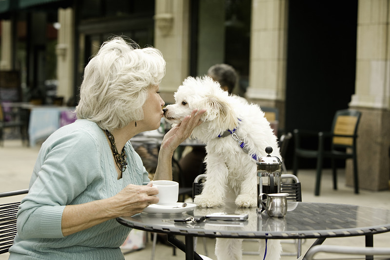 亲吻狗的资深女士，坐在咖啡桌旁图片下载