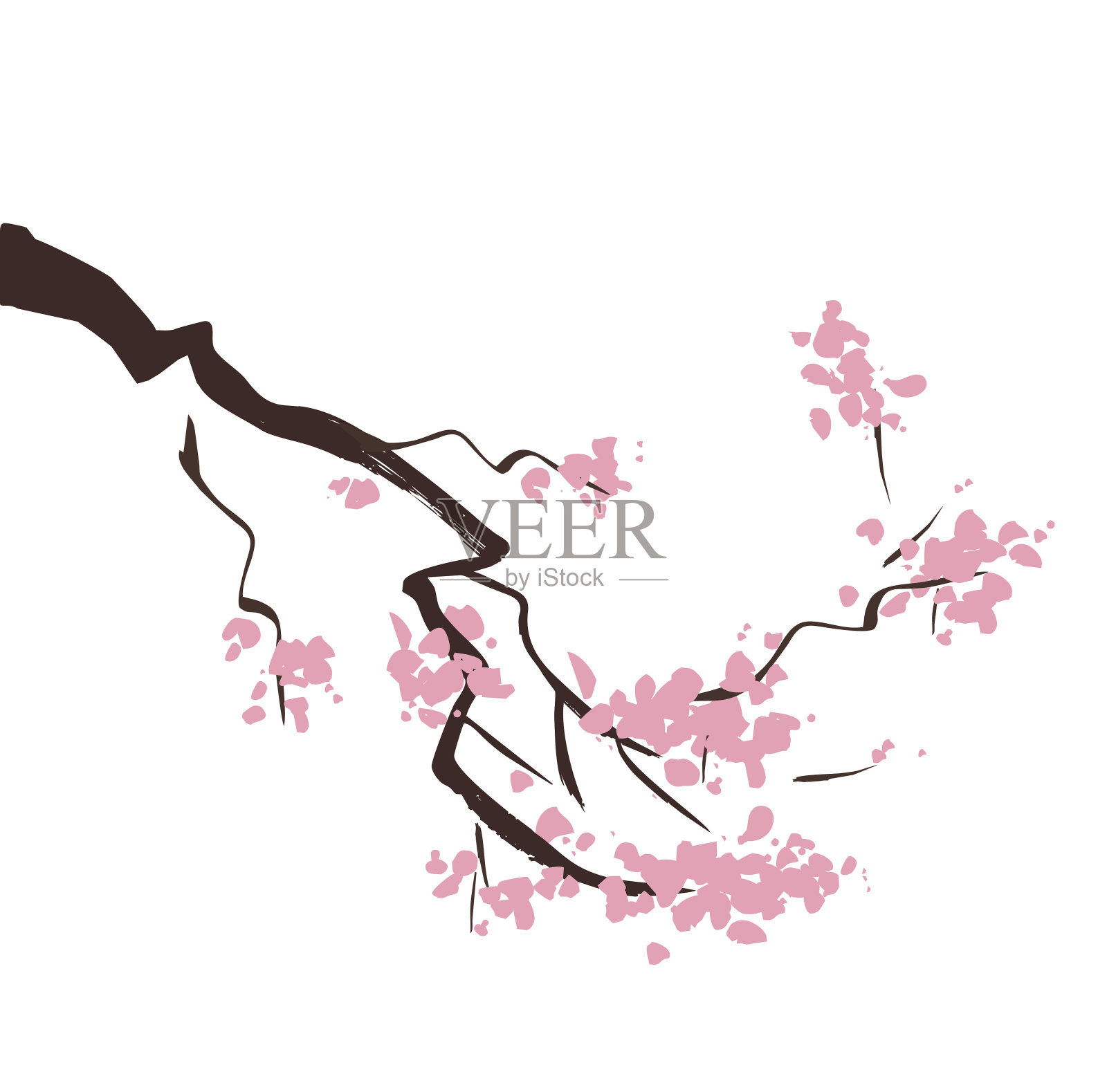 春天樱花的树枝插画图片素材