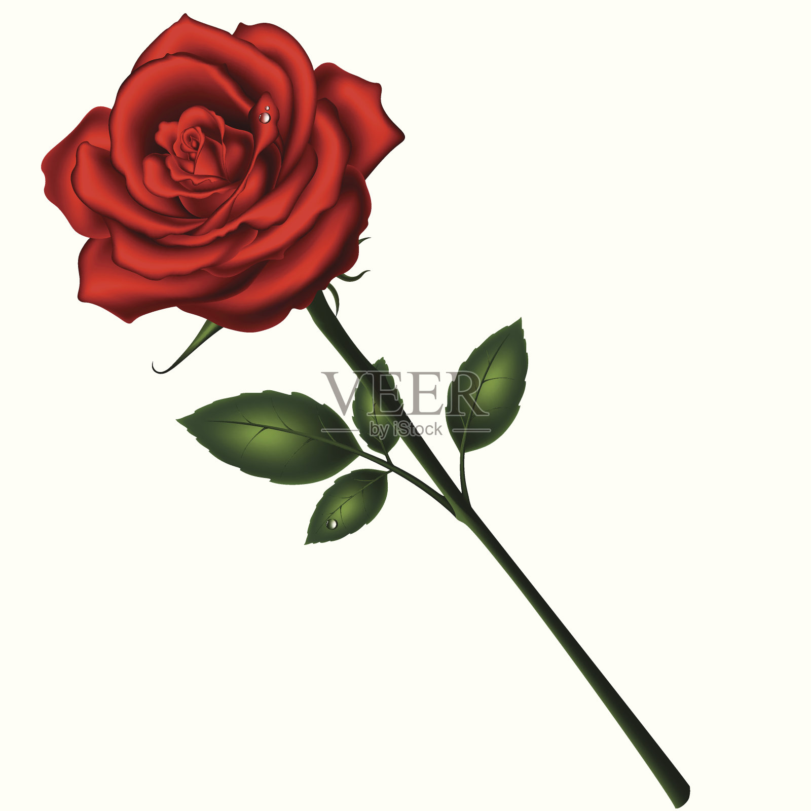 红玫瑰设计元素图片