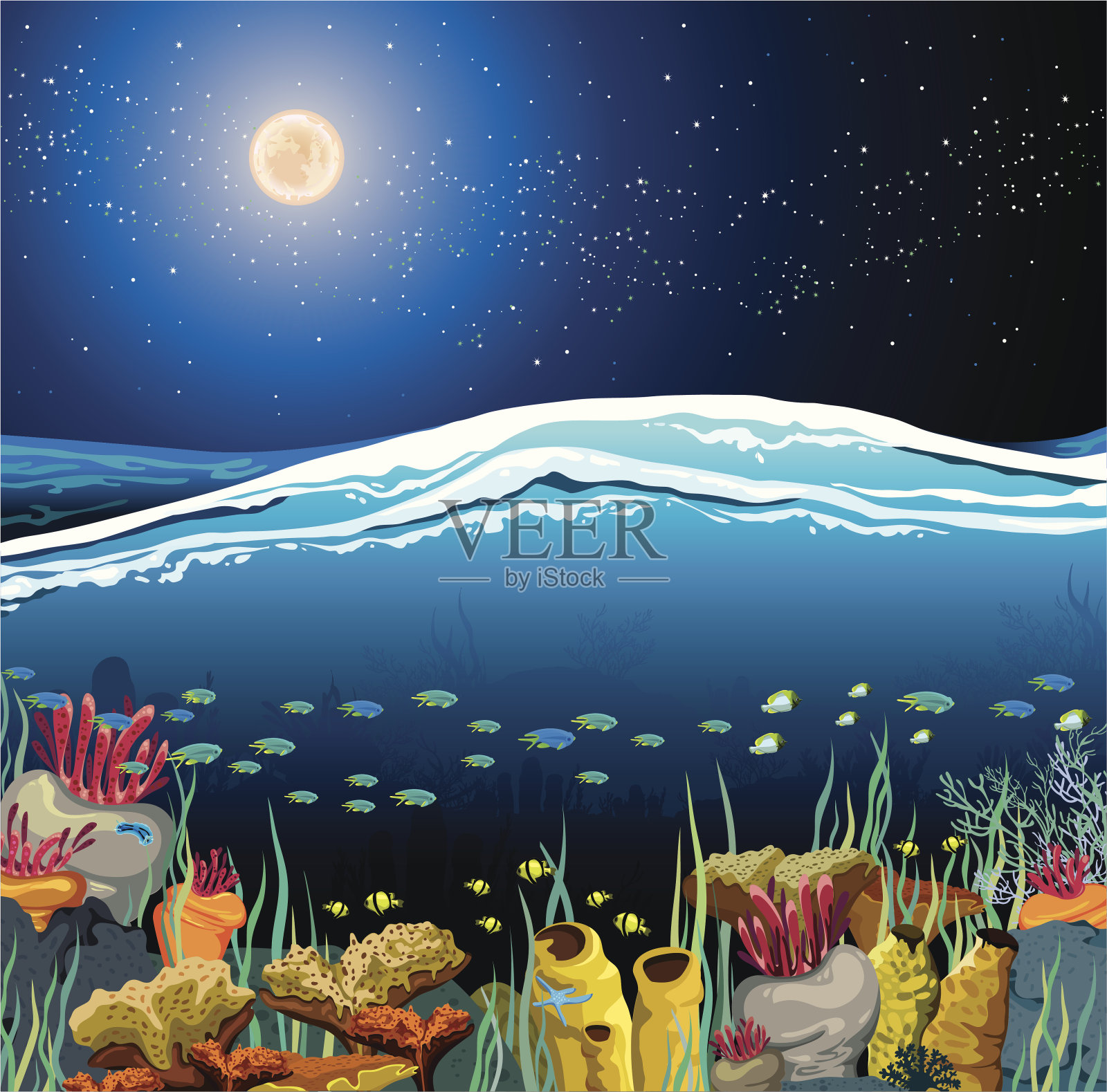 有水下生物和夜空的海景插画图片素材