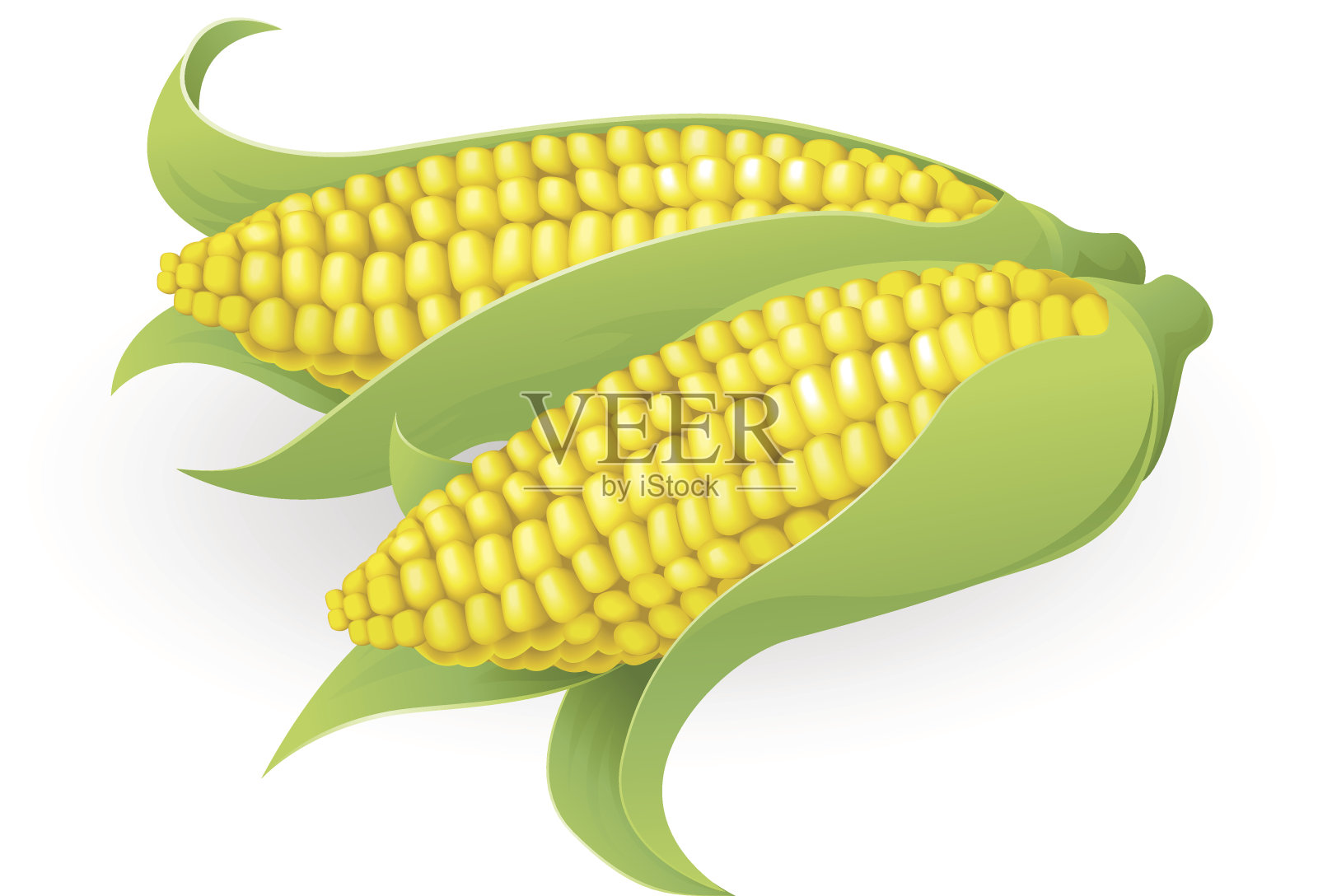 美味的甜玉米插图插画图片素材