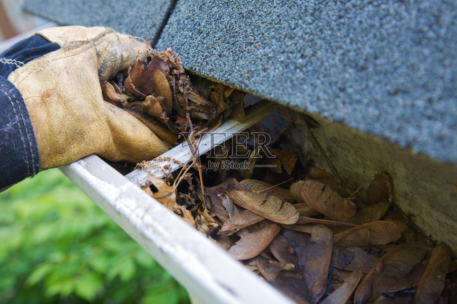 秋季清理-水槽中的树叶(XL)照片摄影图片