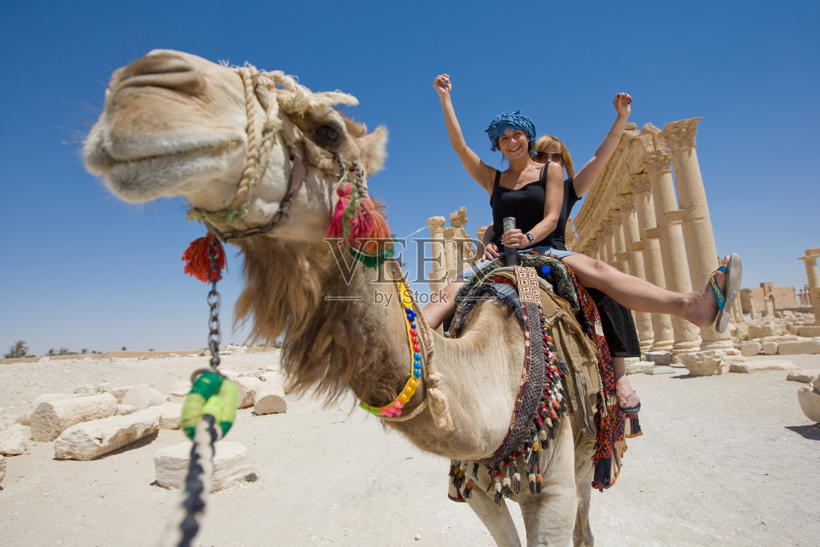 骑骆驼照片摄影图片
