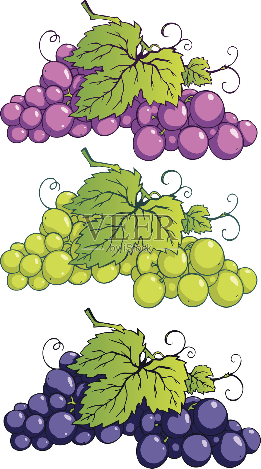 葡萄设计元素图片