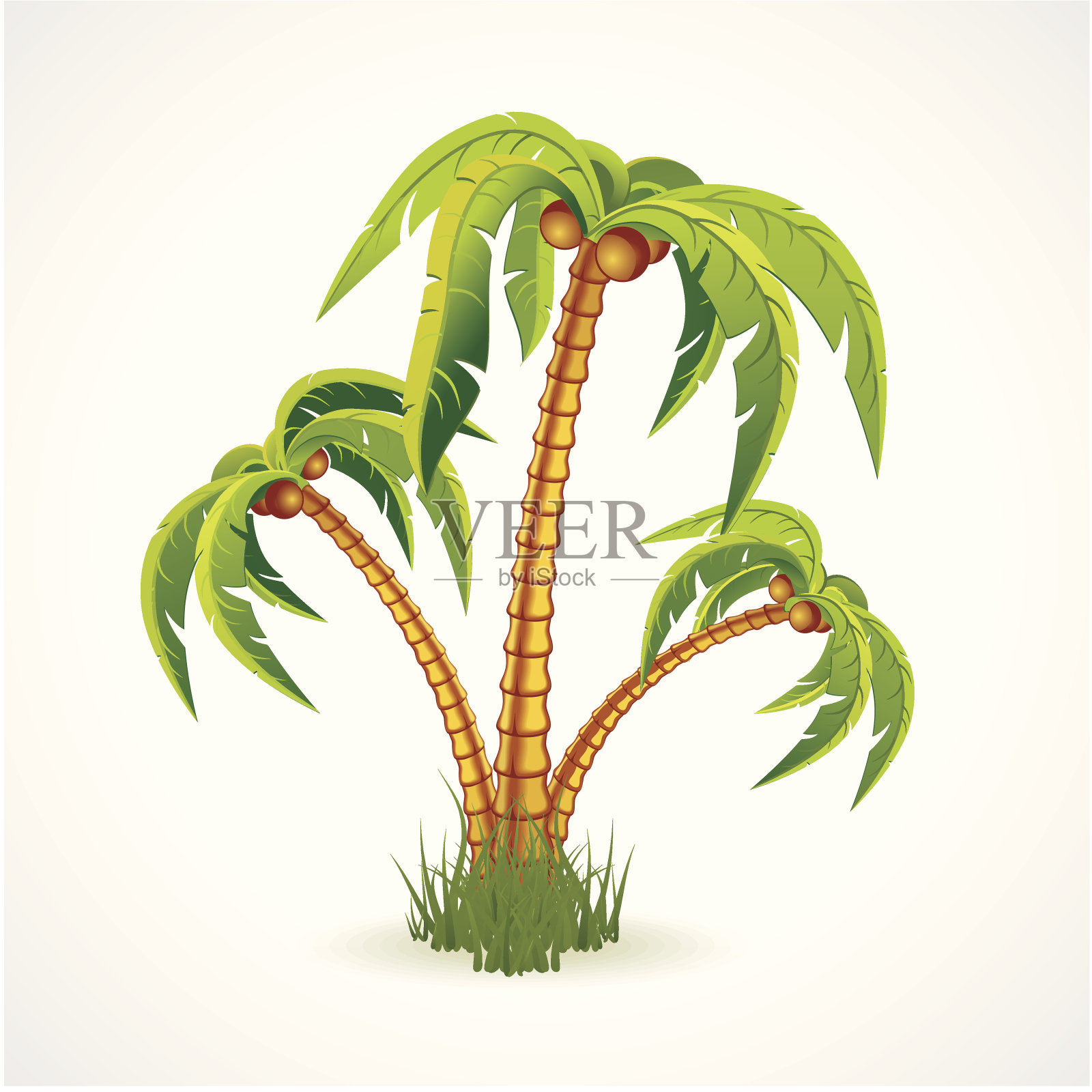 插图的棕榈树宽椰子。设计元素图片