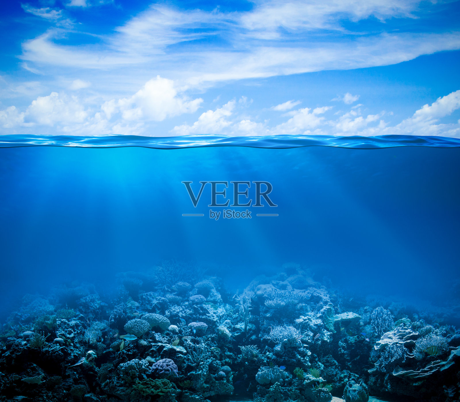 水下珊瑚礁海床视野与地平线和水面照片摄影图片