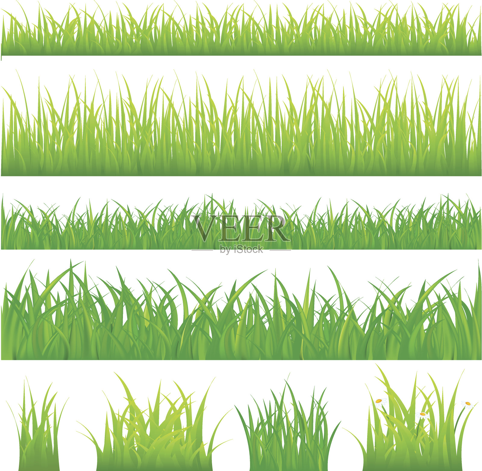 绿草和塔夫茨的背景插画图片素材