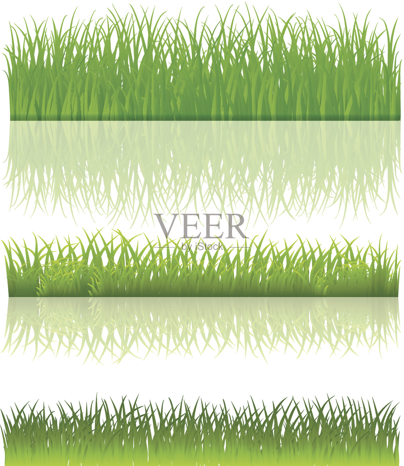 绿色的草。集。向量。插画图片素材