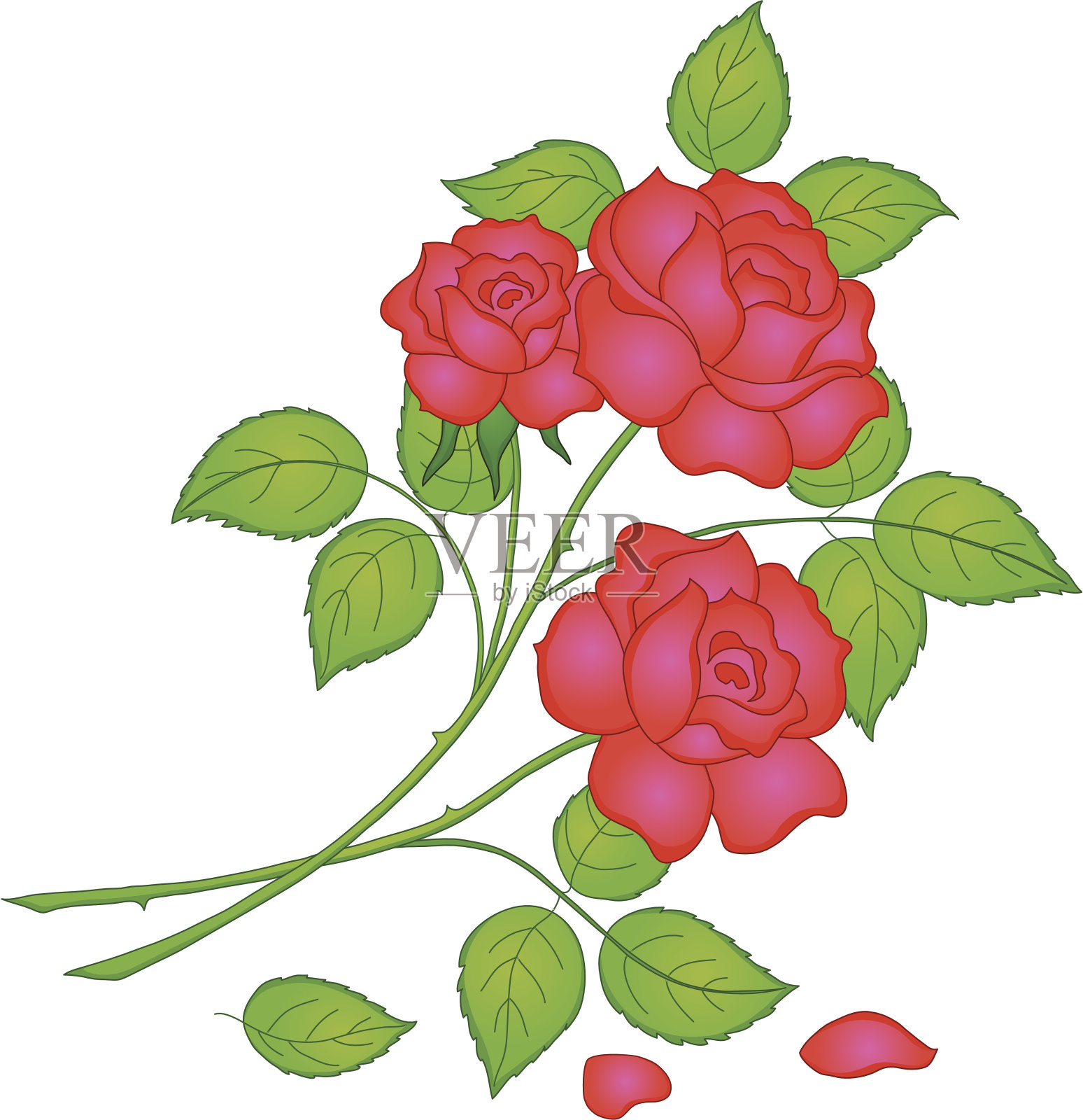 红玫瑰花朵插画图片素材