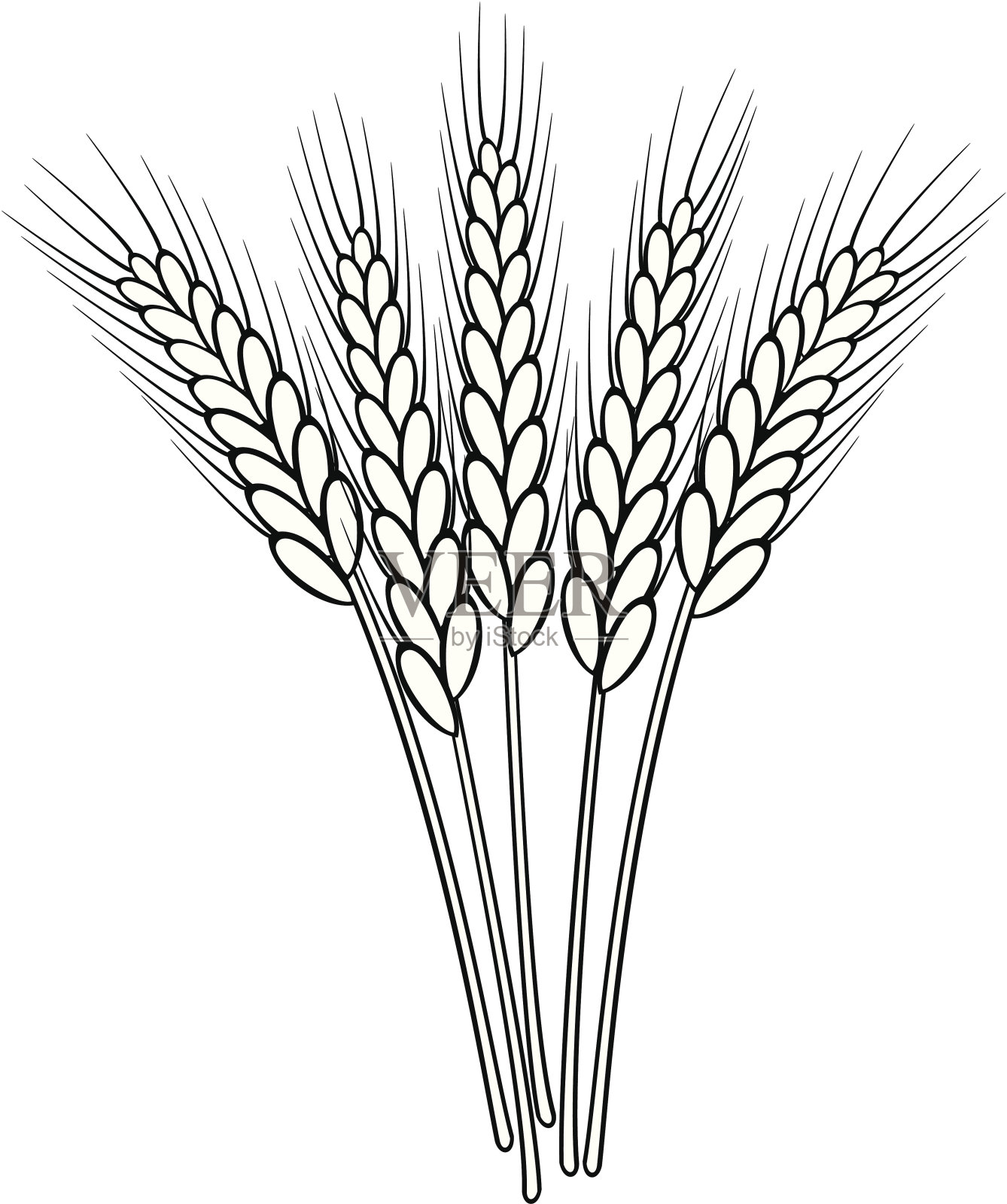 向量黑色和白色小麦穗插画图片素材