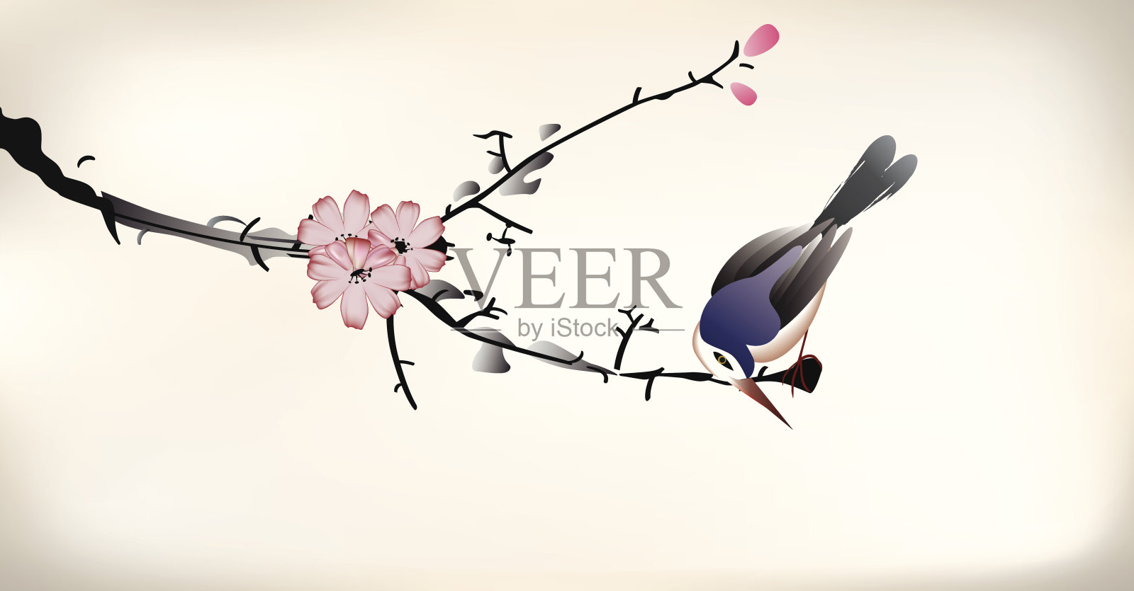 用中国毛笔画的鸟和花插画图片素材