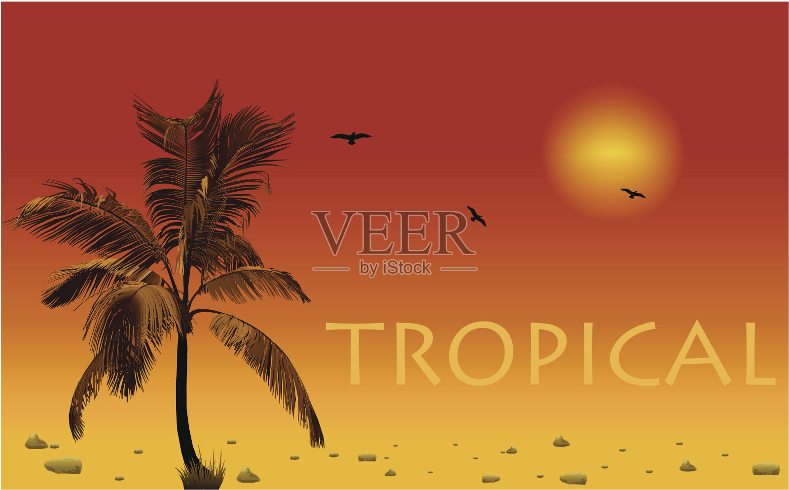 大海和椰子树。向量的日落插画图片素材