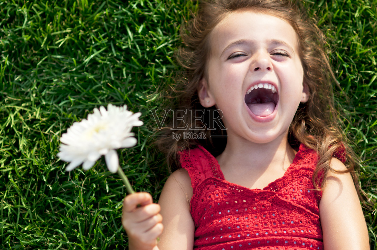 一个微笑的小女孩躺在草地上的特写镜头照片摄影图片