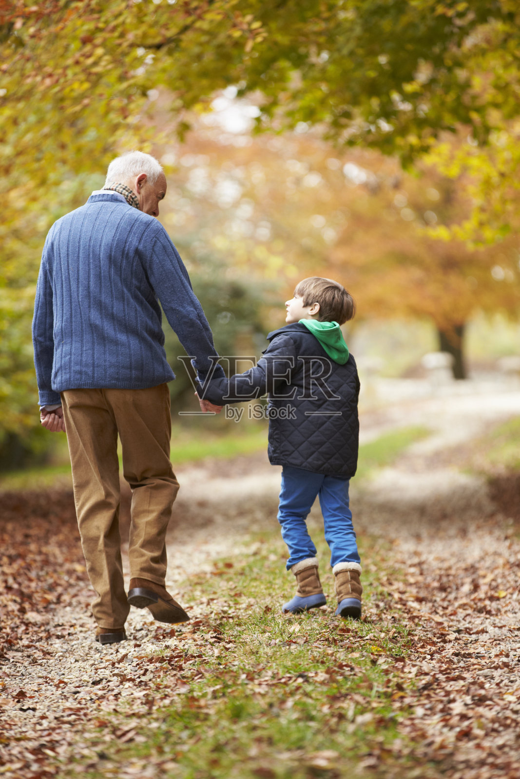 爷爷和孙子沿着小路行走的后视图照片摄影图片