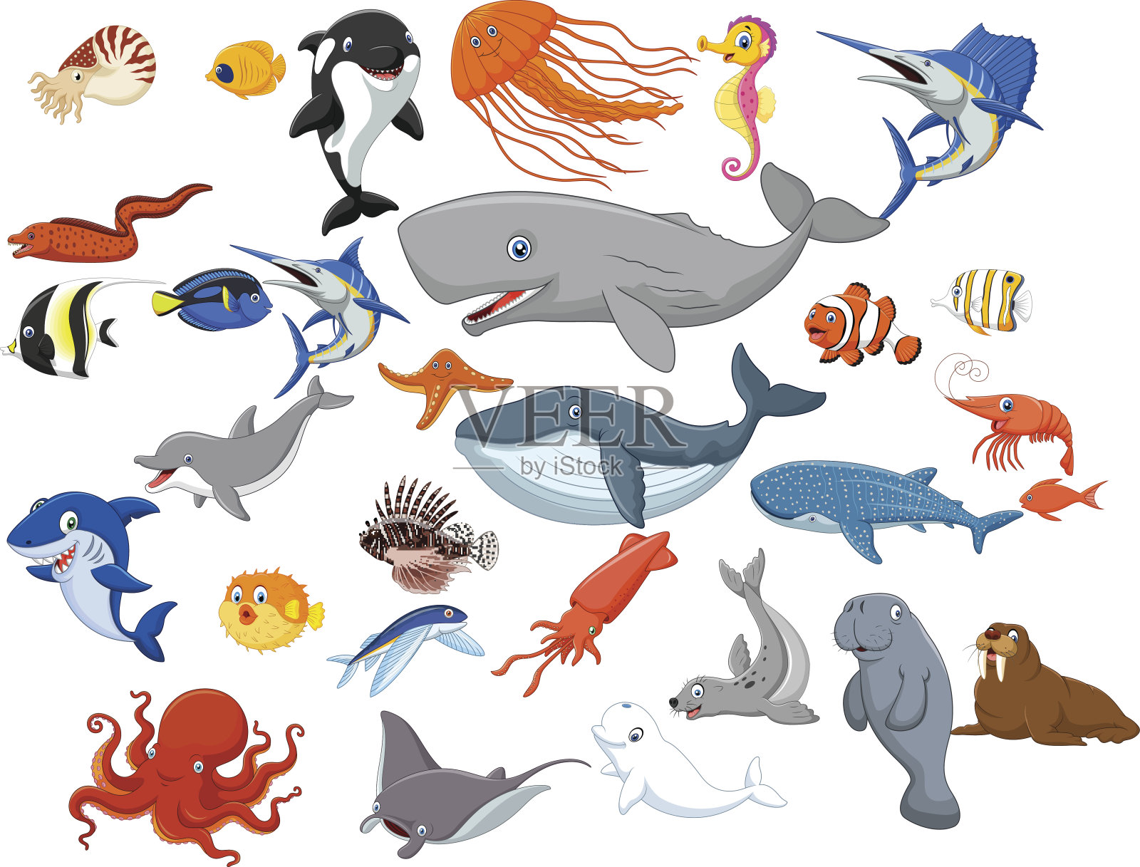 卡通海洋动物孤立在白色背景设计元素图片
