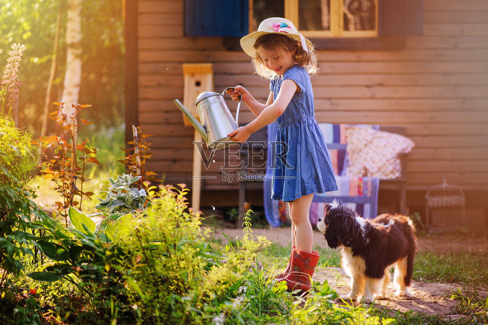 夏天的花园里，一个小女孩和她的狗在浇花照片摄影图片