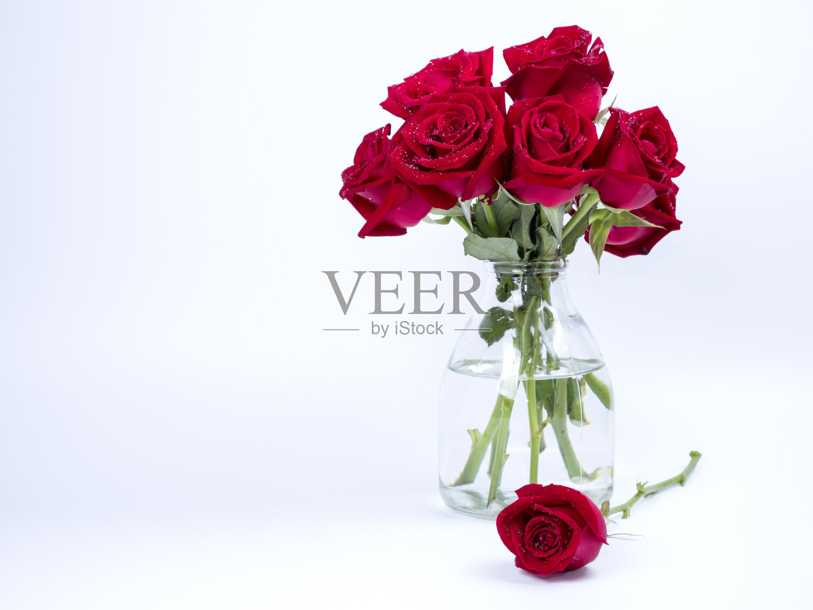在孤立的背景上，玻璃瓶中的红玫瑰花束照片摄影图片