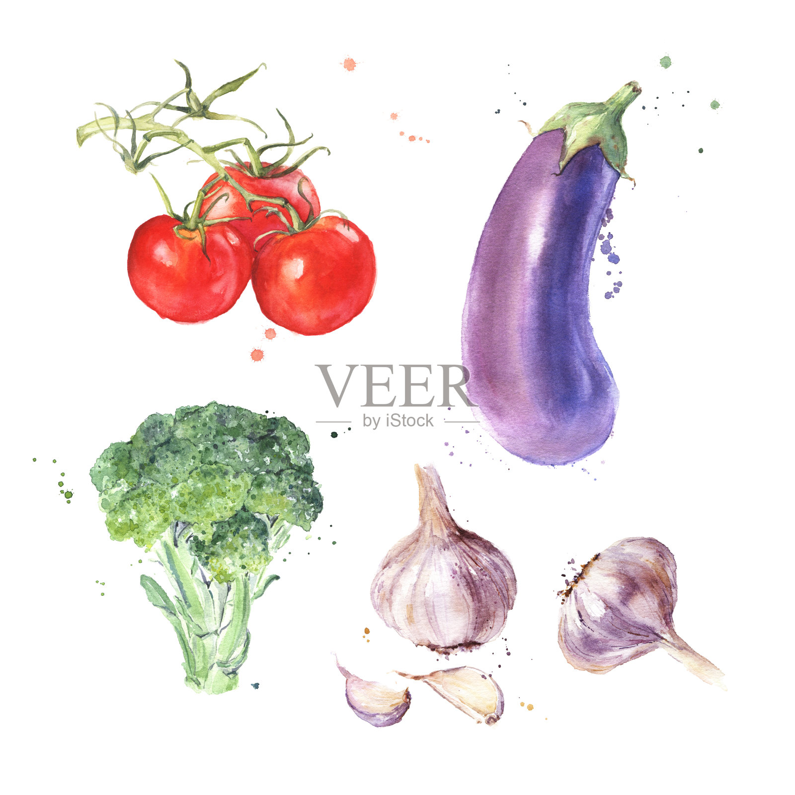 水彩蔬菜，番茄，茄子，茄子，西兰花，大蒜插画图片素材