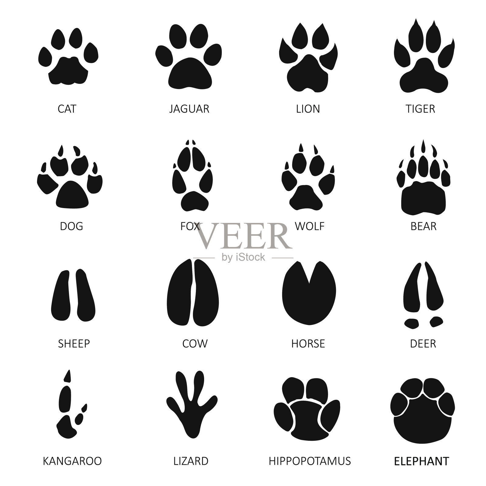 动物的脚印插画图片素材