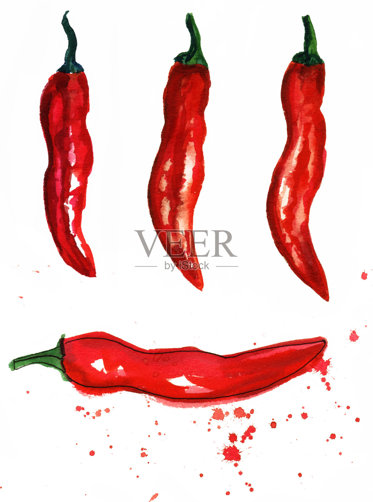 一套红辣椒的水彩画插画图片素材