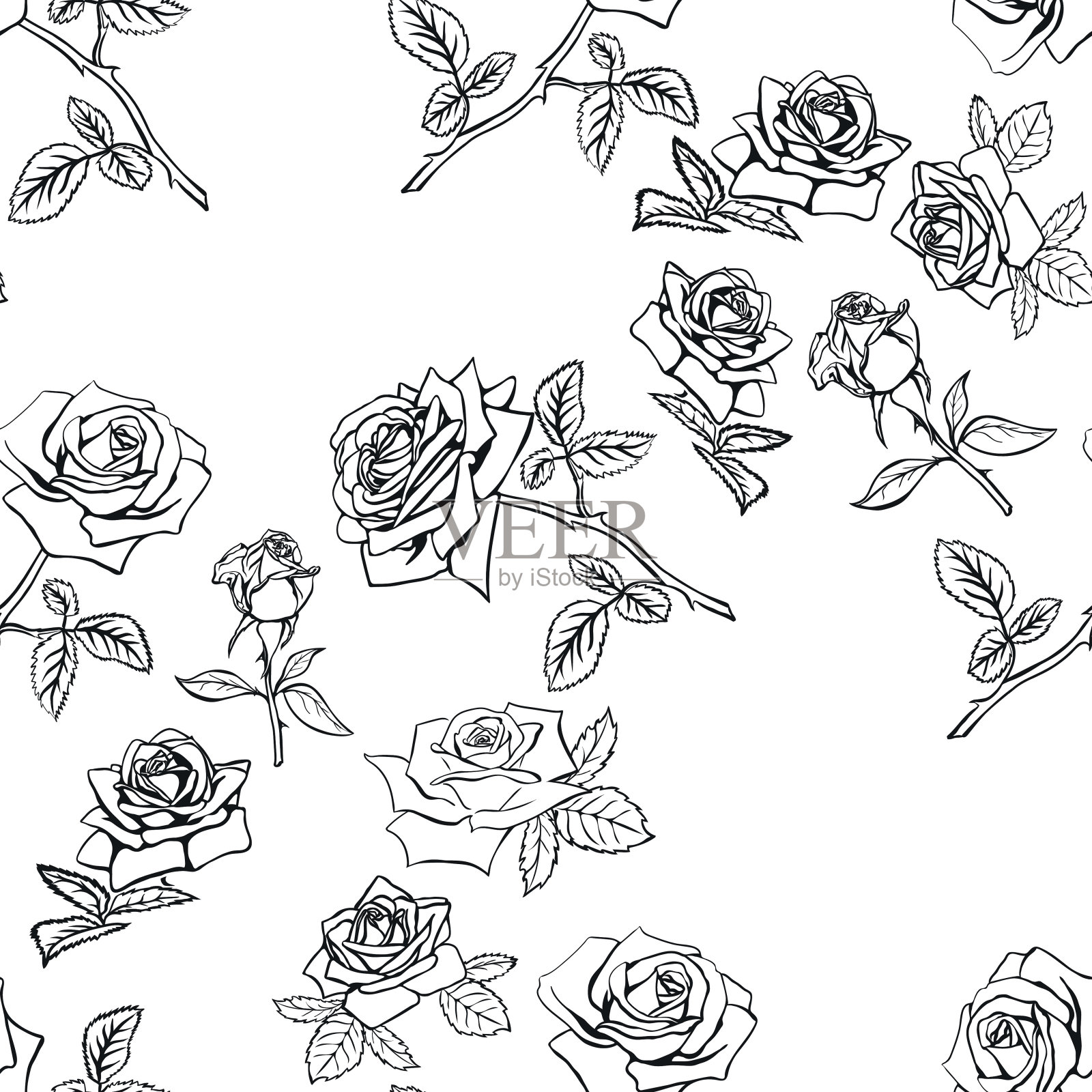 玫瑰草图,无缝插画图片素材