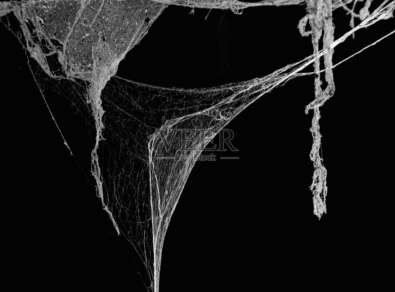 蜘蛛网蜘蛛网在古泰国房子孤立上黑色照片摄影图片