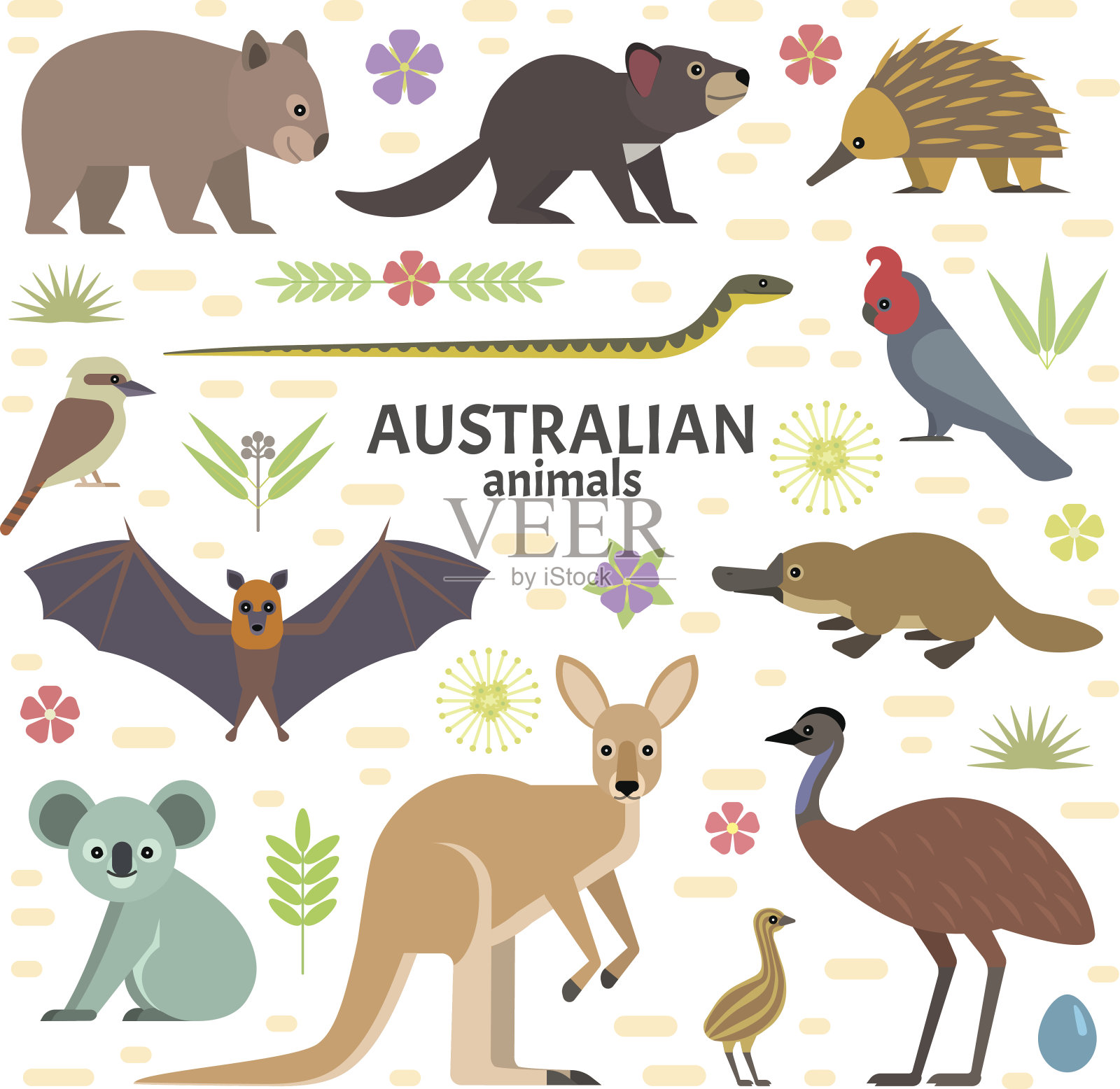 澳大利亚的动物插画图片素材