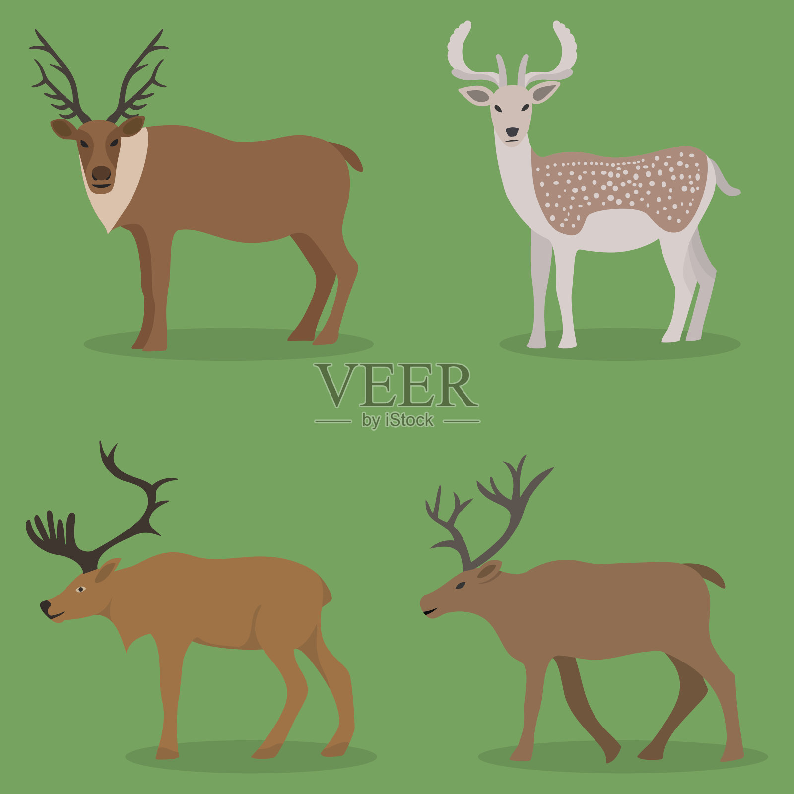 收集的鹿在一个平坦的设计插画图片素材
