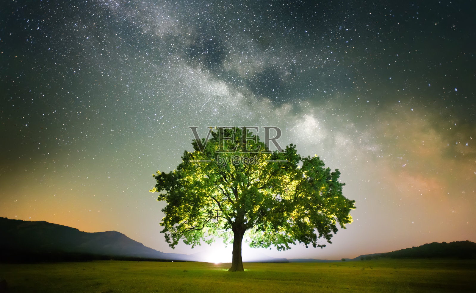 罗马尼亚多布罗吉亚银河下田野上的一棵孤独的树照片摄影图片