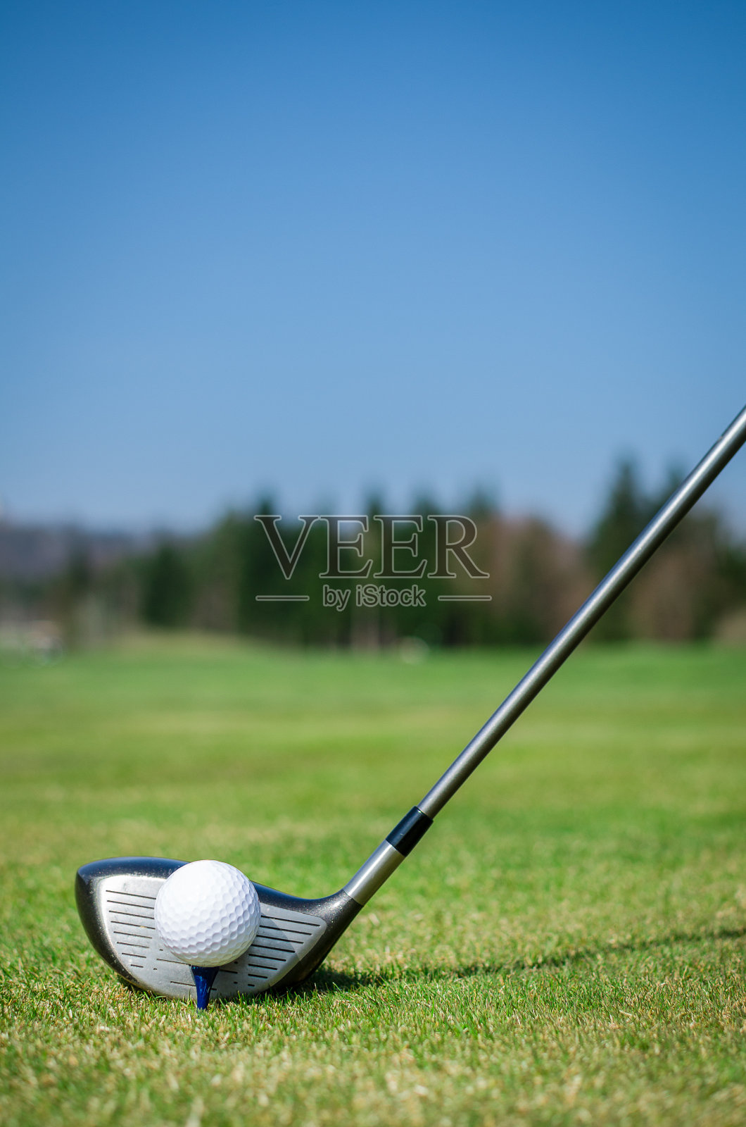 高尔夫球手把高尔夫球打到果岭上照片摄影图片