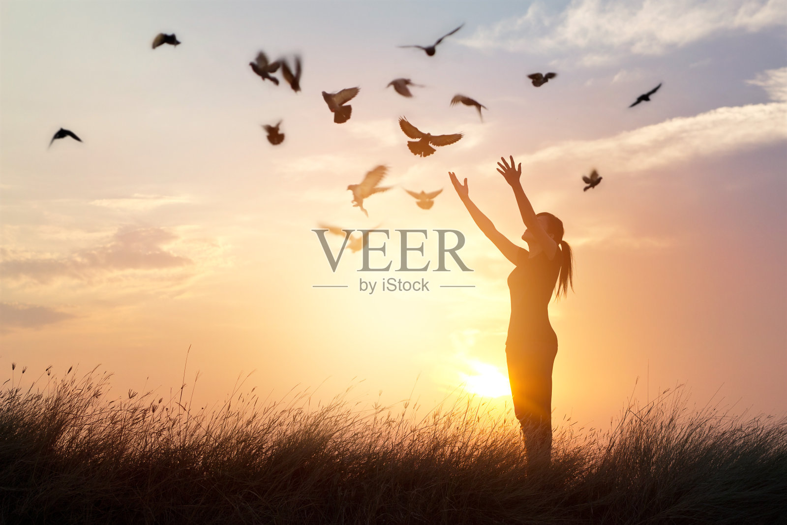 女人祈祷和自由的鸟享受自然日落的背景照片摄影图片