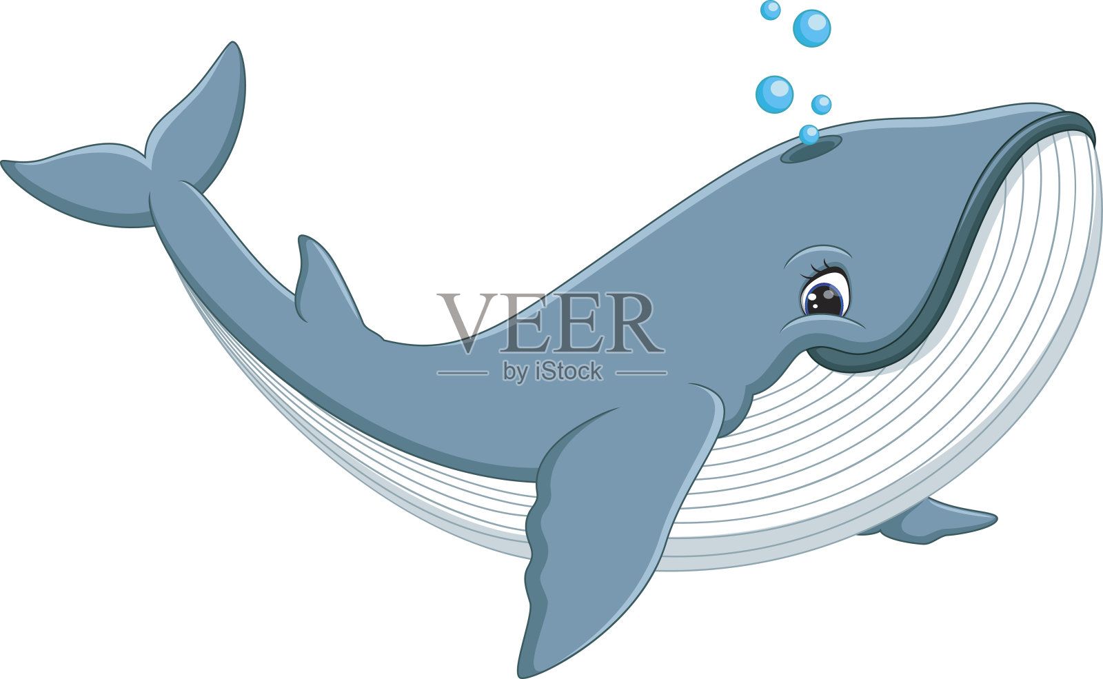 卡通可爱的鲸鱼设计元素图片