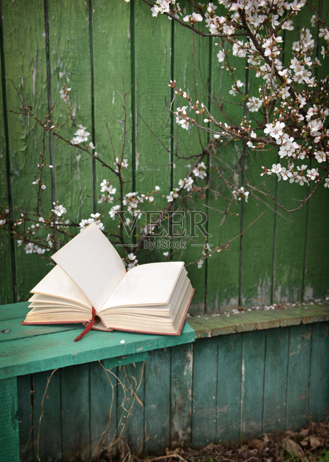打开日记本在樱桃树木长凳上照片摄影图片