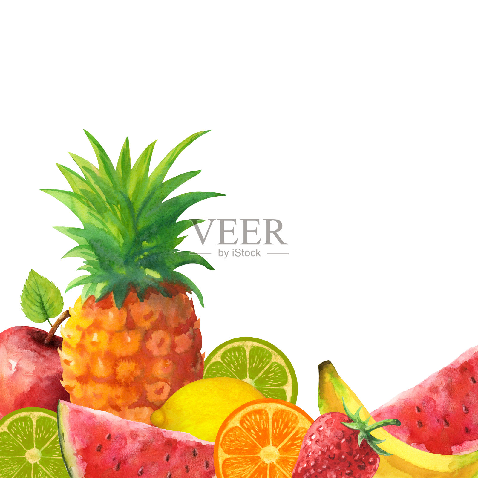 水彩水果、浆果插画图片素材