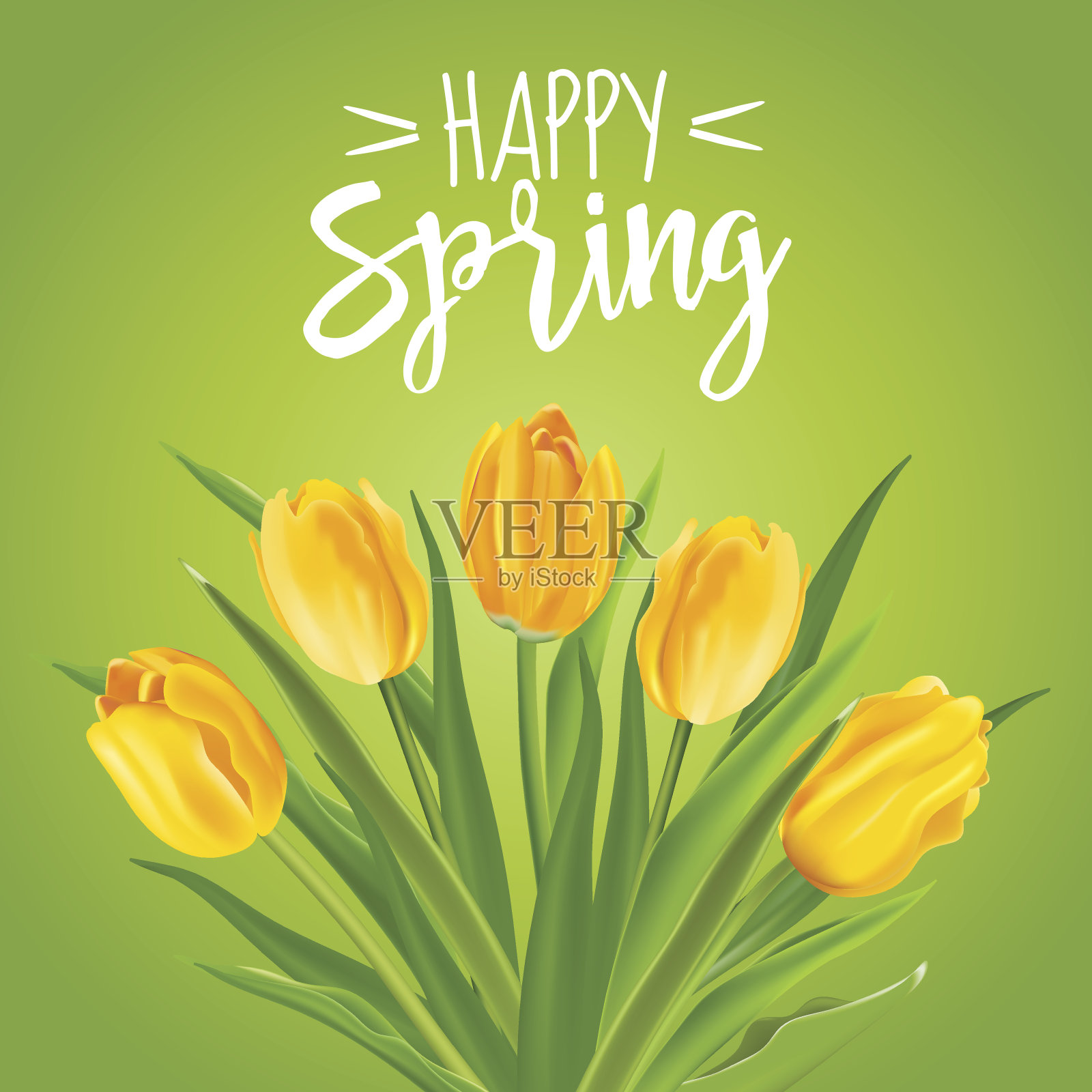 春天的花背景-与郁金香插画图片素材
