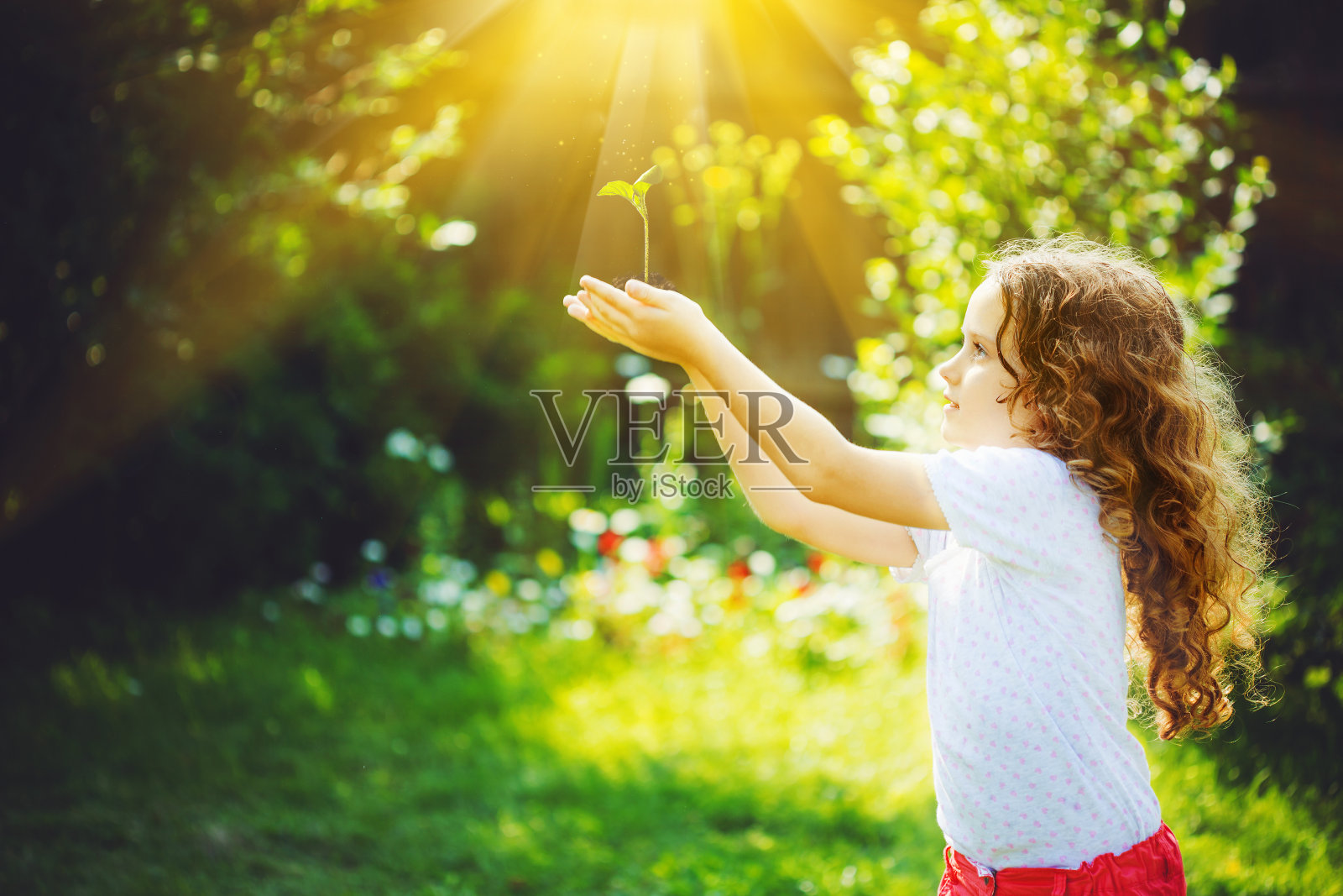 可爱的女孩在阳光下抱着绿色的小植物。照片摄影图片