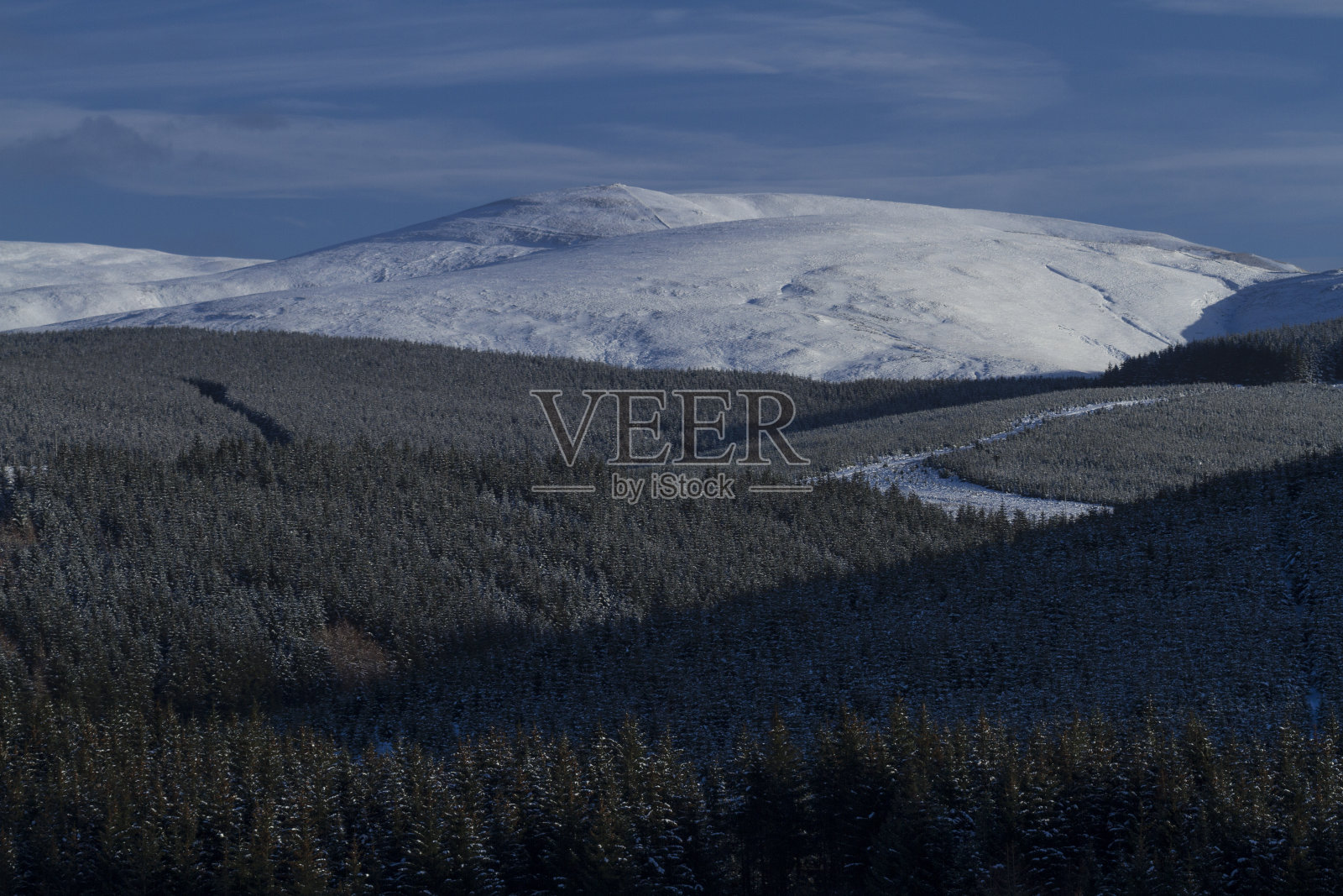 苏格兰雪山中的常绿针叶林照片摄影图片